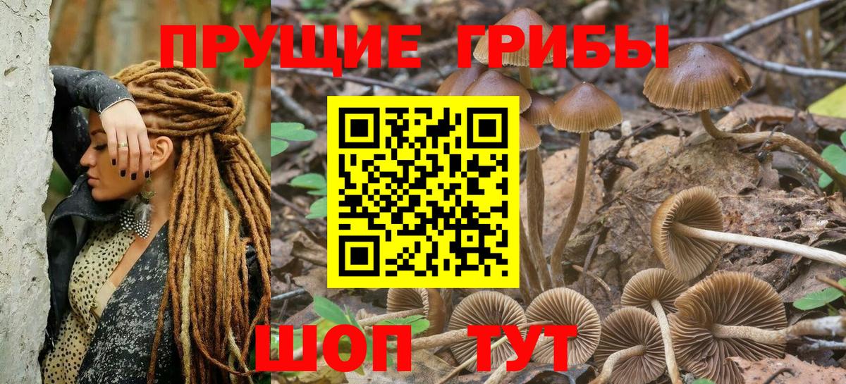 Галлюциногенные грибы Cubensis Реж