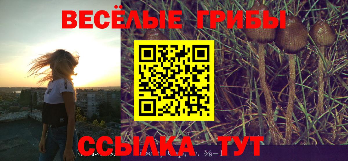 Реж  Псилоцибиновые грибы ЛСД  Вход с VPN 